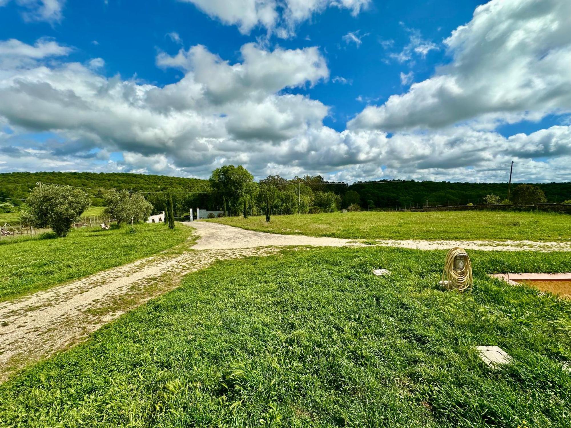 Villa Tuscia Apartments Tuscania Kültér fotó